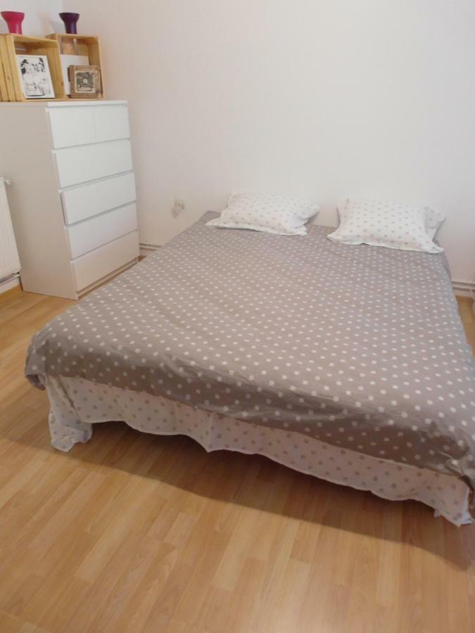 Studio Moliere Apartman Brassó Kültér fotó